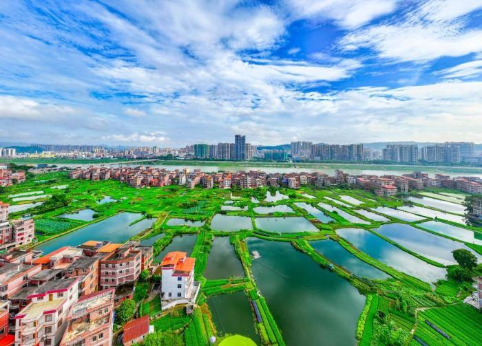 广西梧州：仲夏城乡美如画