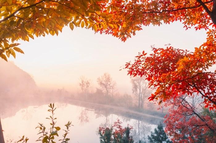 吉林舒兰：红枫似火 湖面薄雾笼罩